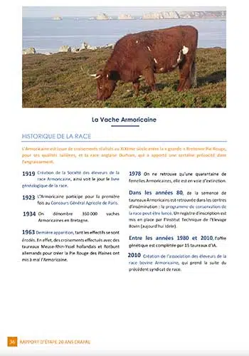 Rapport 20 ans du CRAPAL – Vache Armoricaine