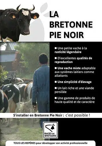 S’installer en Pie Noir, c’est possible !