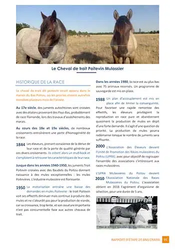 Rapport des 20 ans CRAPAL – Cheval de Trait Poitevin Mulassier