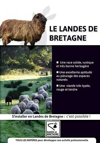 S’installer en Landes de Bretagne, c’est possible !