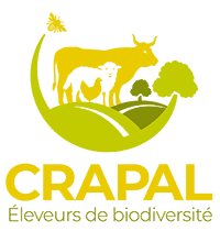 Crapal