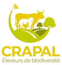 Crapal