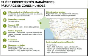 Filière Biodiversités Maraîchines - Solution Fondée sur la Nature pour la sécurité alimentaire en France - UCIN 2025