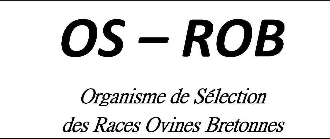 Validation officielle de l’Organisme de Sélection des Races Ovines Bretonnes