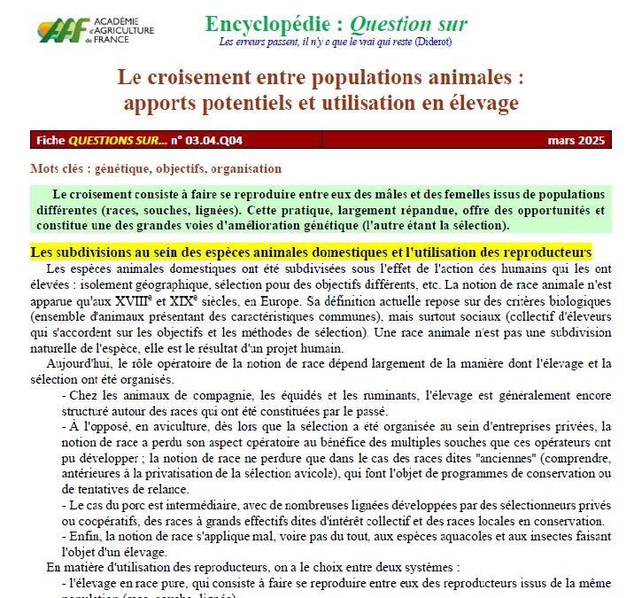 Le croisement entre populations animales : apports potentiels et utilisation en élevage