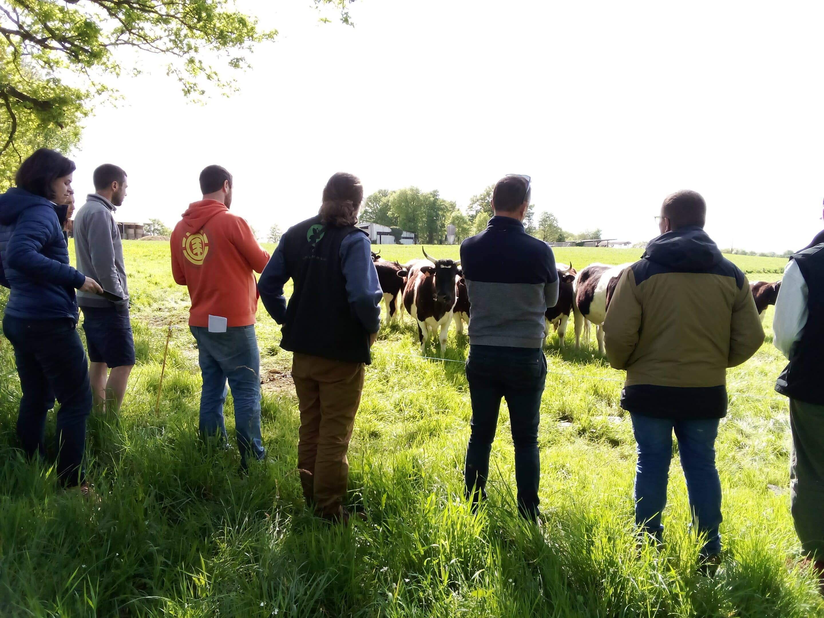 Ferme ouverte aux 7 chemins, Plessé