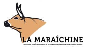 Nouveau logo Maraîchine