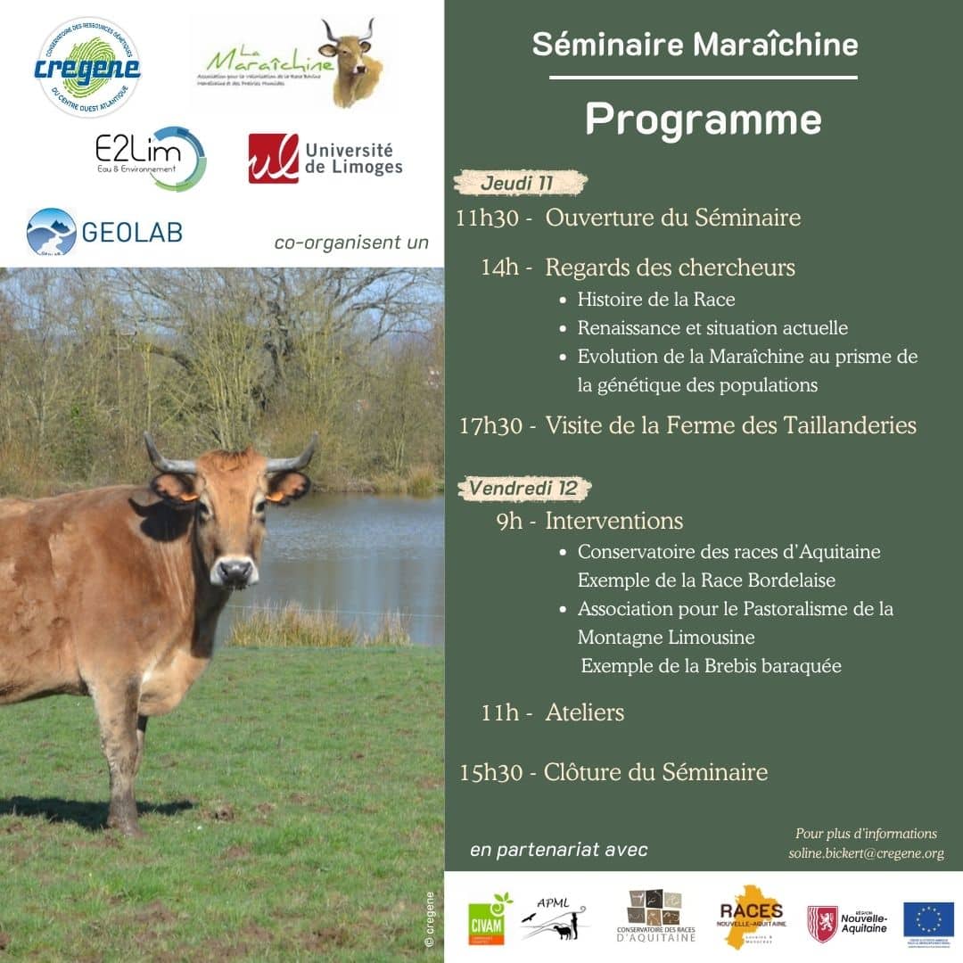 Programme Séminaire Maraîchine