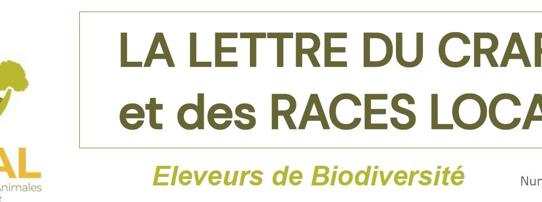 La lettre du CRAPAL et des races locales n°65 (juillet 2025)