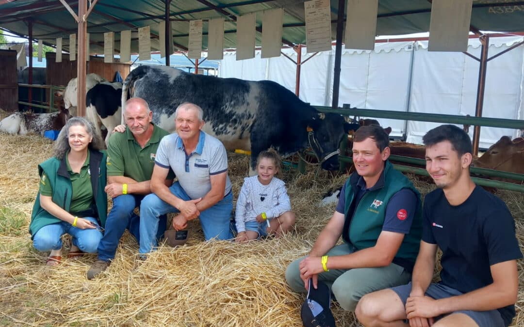 Les races locales présentes au CIMA à Mayenne (53)