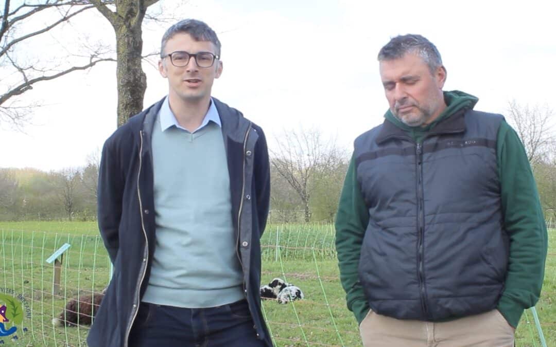 Zoom sur nos partenaires : l&rsquo;écomusée de la Bintinais et la Fédération des races de Bretagne