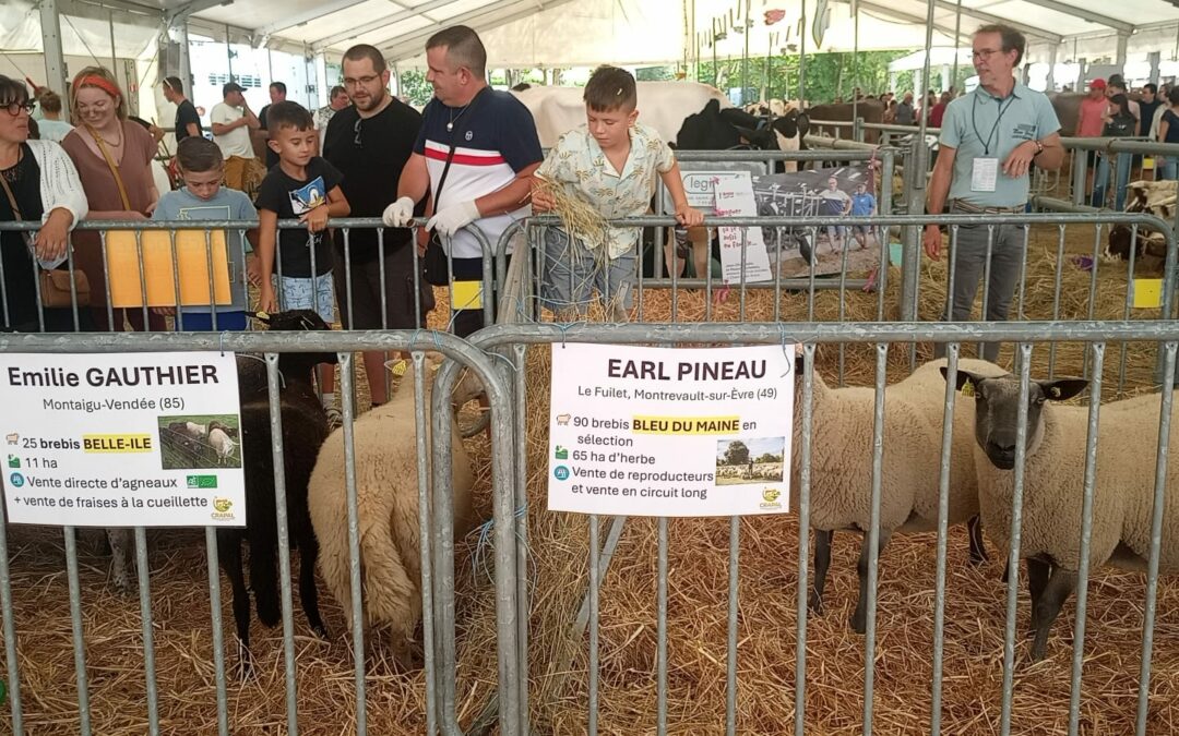 Les races et variétés locales présentes au Festi’Elevage 2025