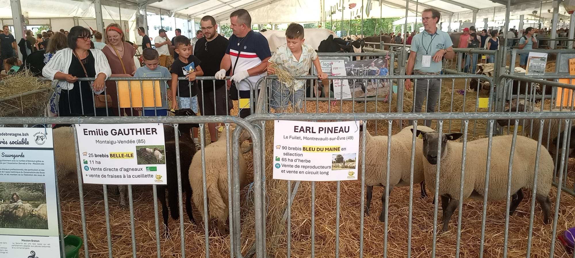 Festi élevage 2025 - photo CRAPAL