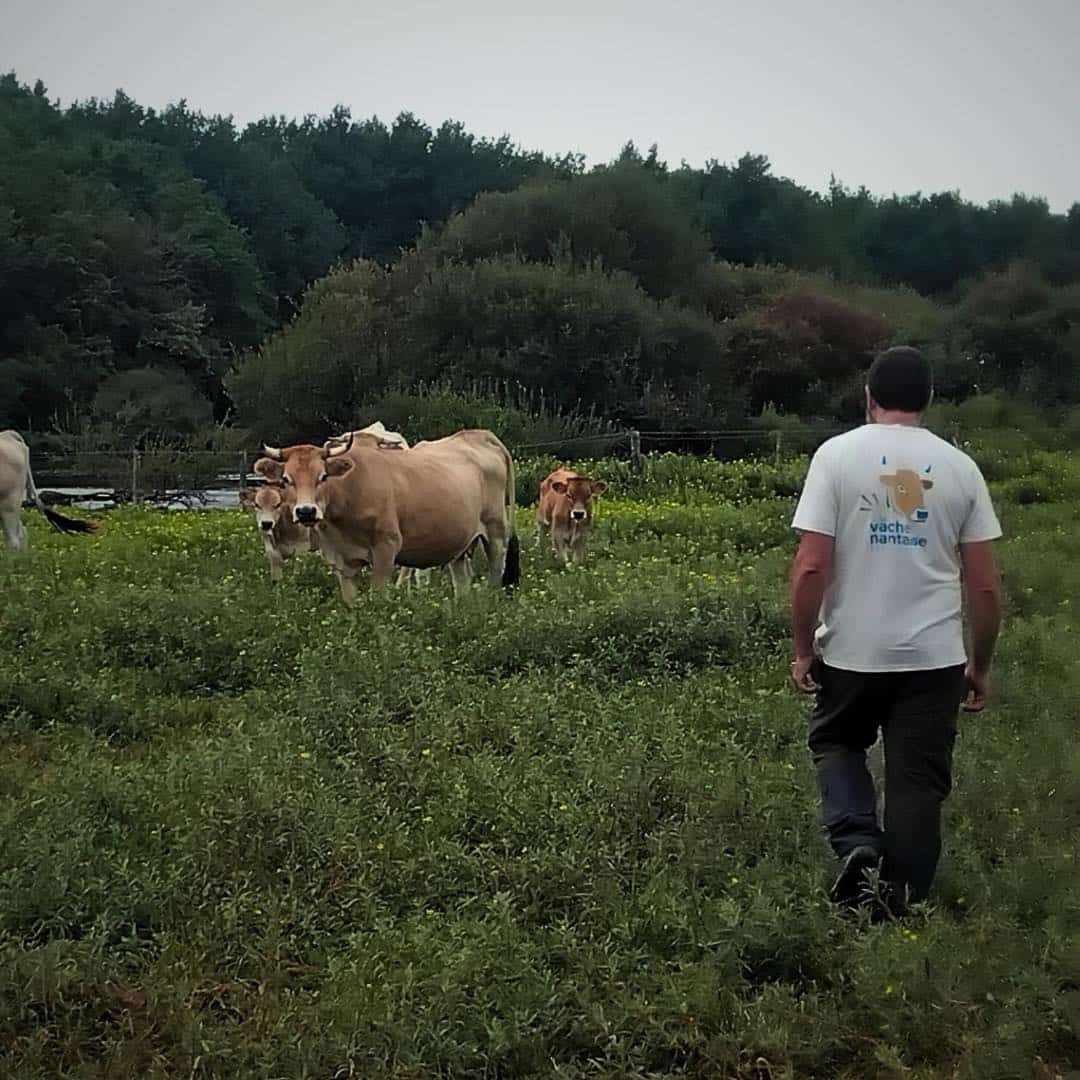 Nantaises Boire Malet