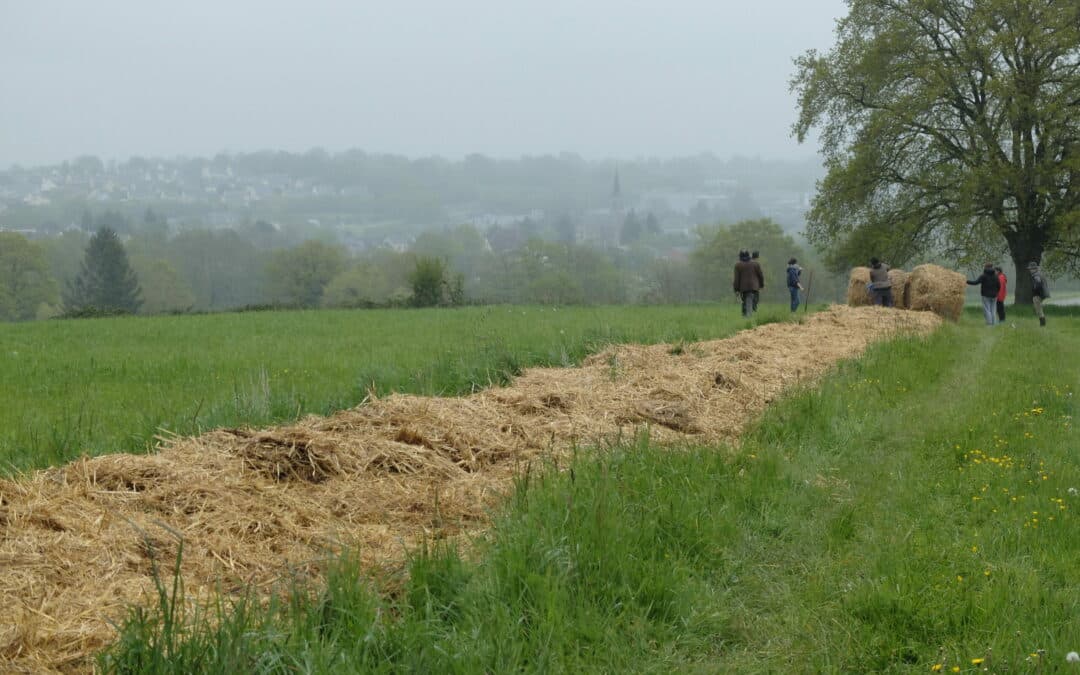 Formation « Réintégrer l’arbre dans son système agricole »
