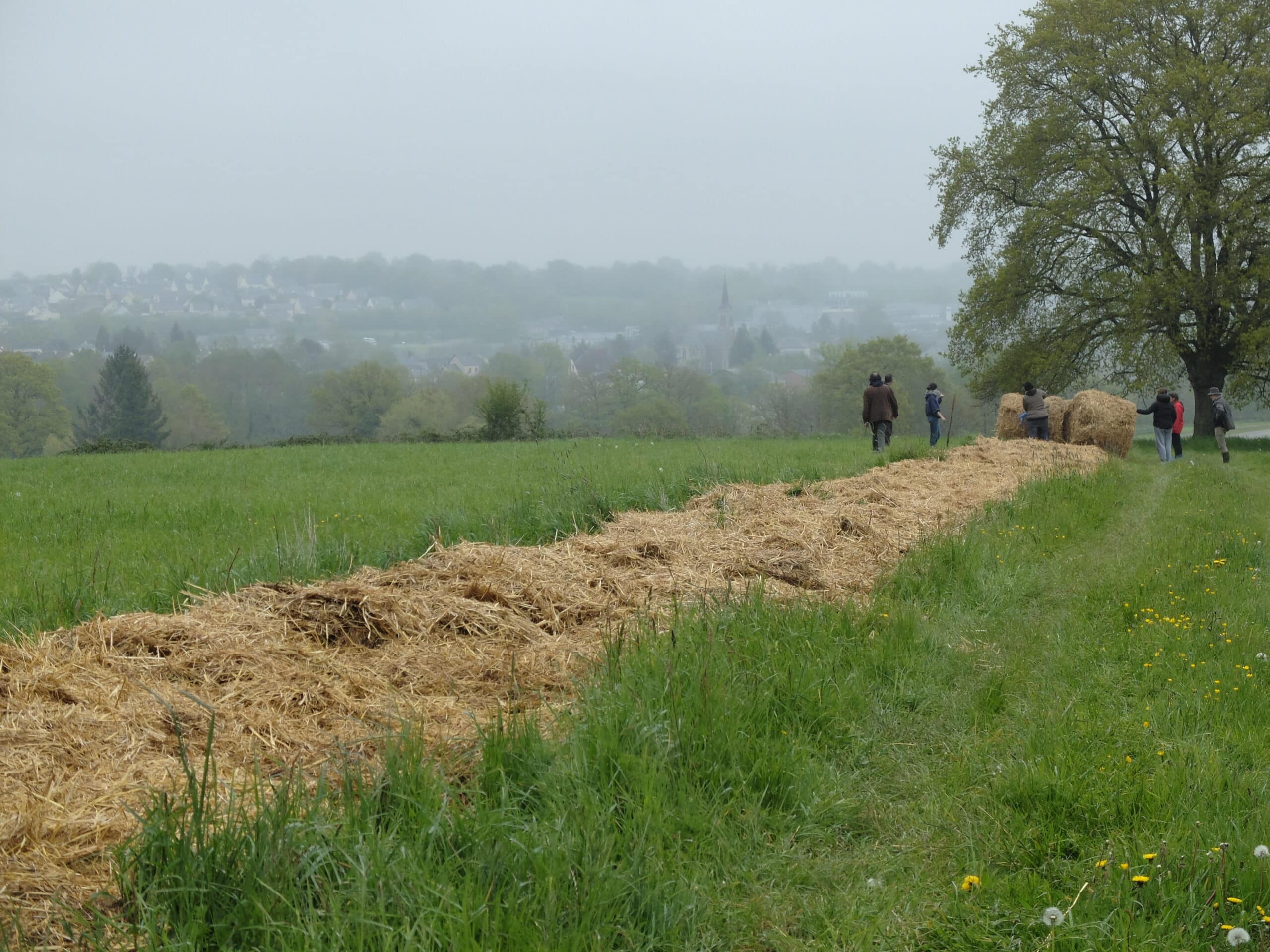 Plantation arbres - photo Bertrand Jarri MNE