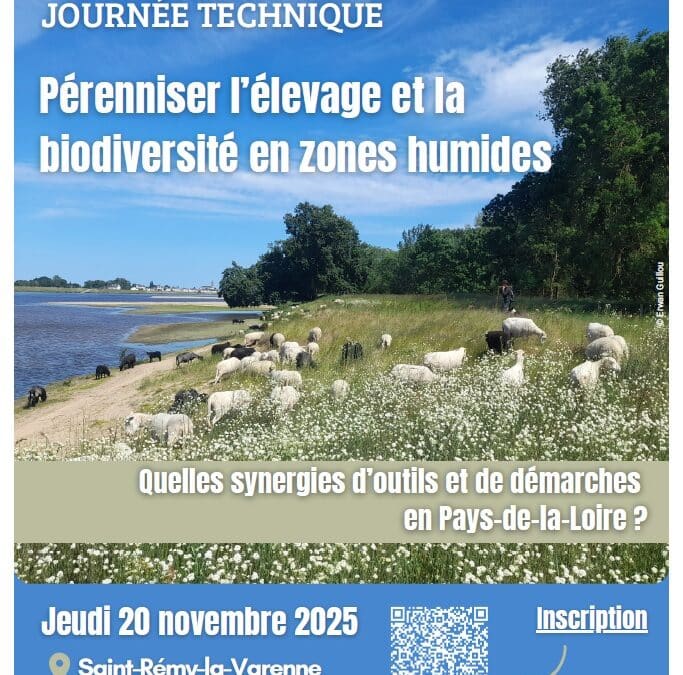 Journée technique « pérenniser l’élevage et la biodiversité en zones humides »