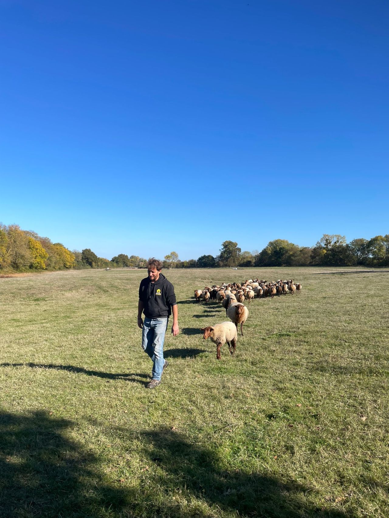 Thomas Rabu - photo Laure Cormier