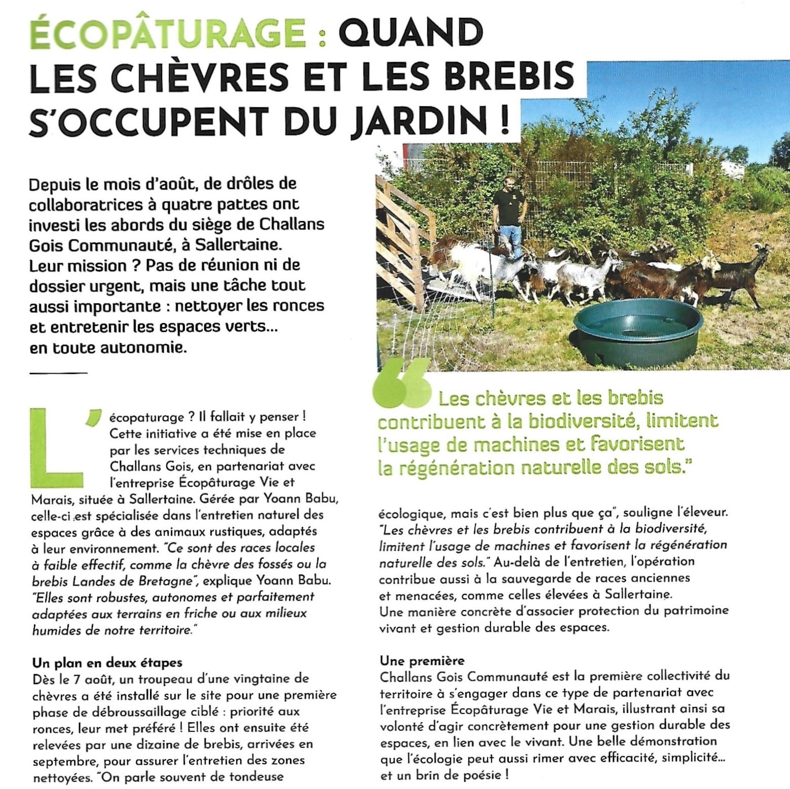 Journal Challans Gois Communauté, novembre 2025 - quand les chèvres et les brebis s'occupent du jardin !