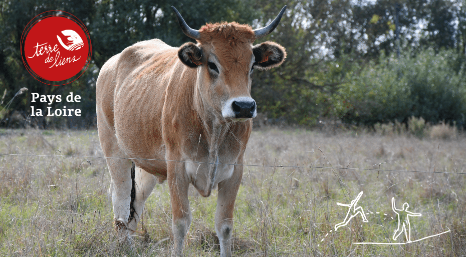 Ferme du Pré Tords - Terre de Liens Pays de la Loire