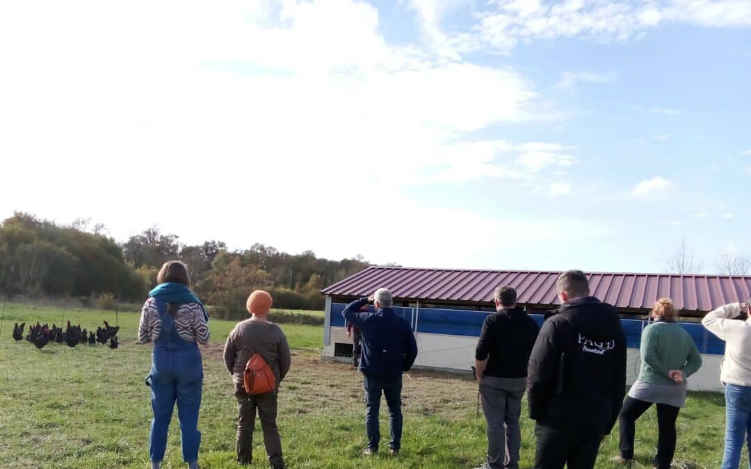 Soutenez la création d&rsquo;un élevage de poules noires de Challans