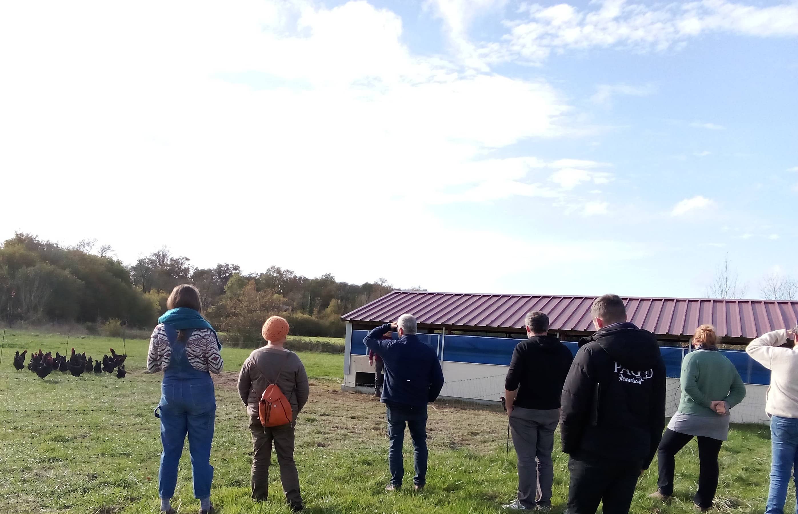 Formation Poulet Nantais - CRAPAL novembre 2025