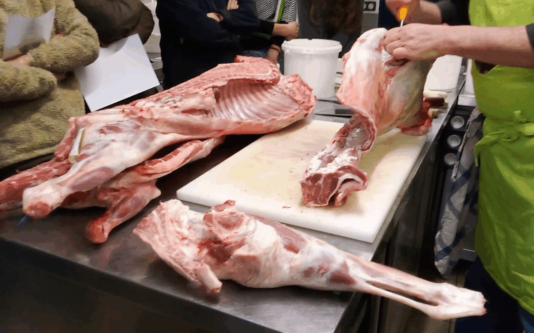 Retour des formations « valorisation des agneaux »