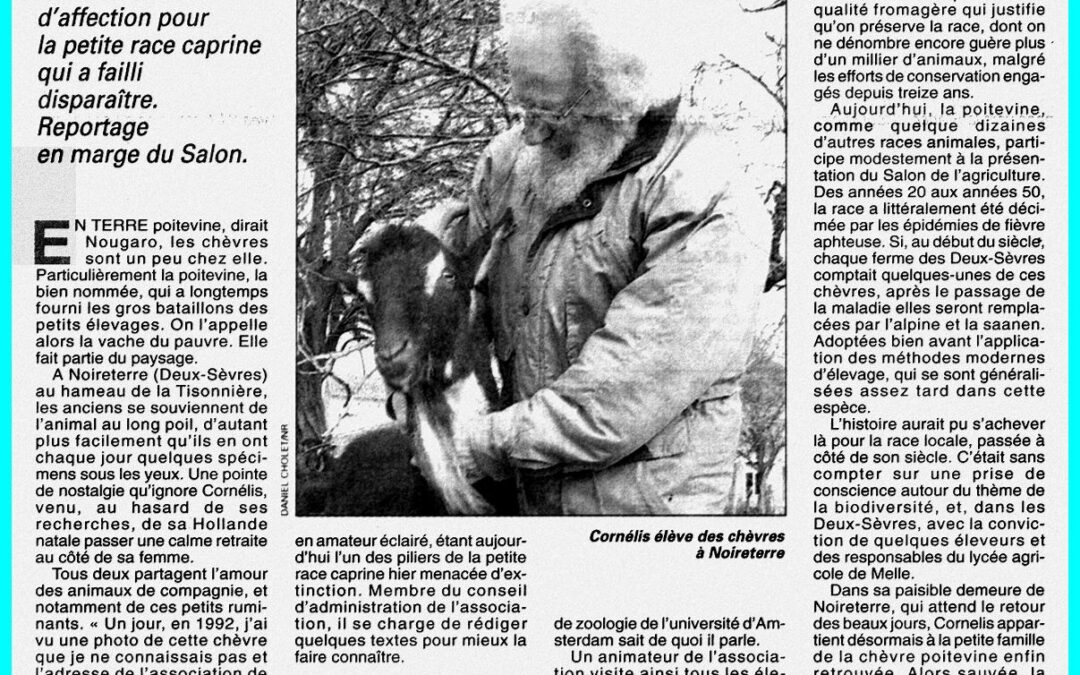 La chèvre poitevine sans regret – La Nouvelle République 1999