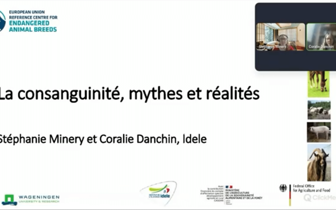 La consanguinité, mythes et réalités