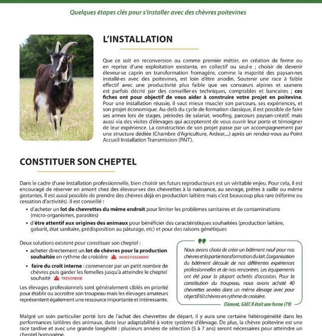 Réussir son installation en chèvre Poitevine