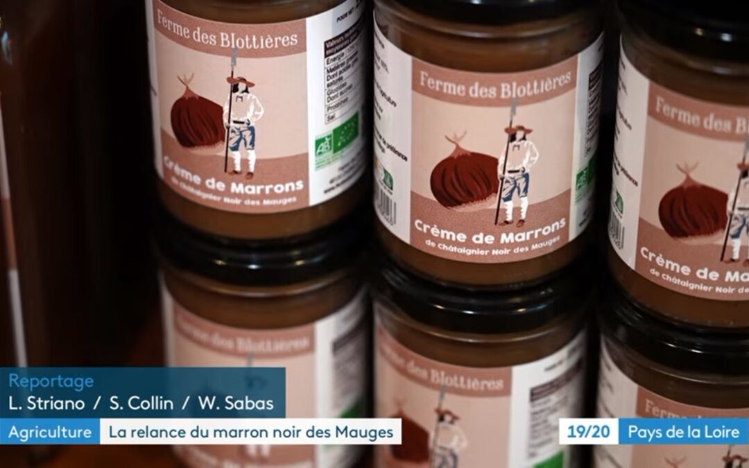 Les Marrons des Mauges et de Vendée au Salon de l&rsquo;Agriculture