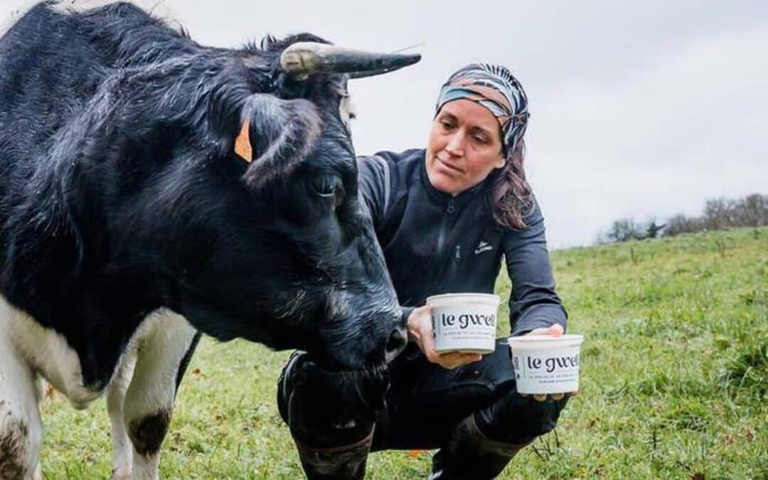 Les actualités du Gwell