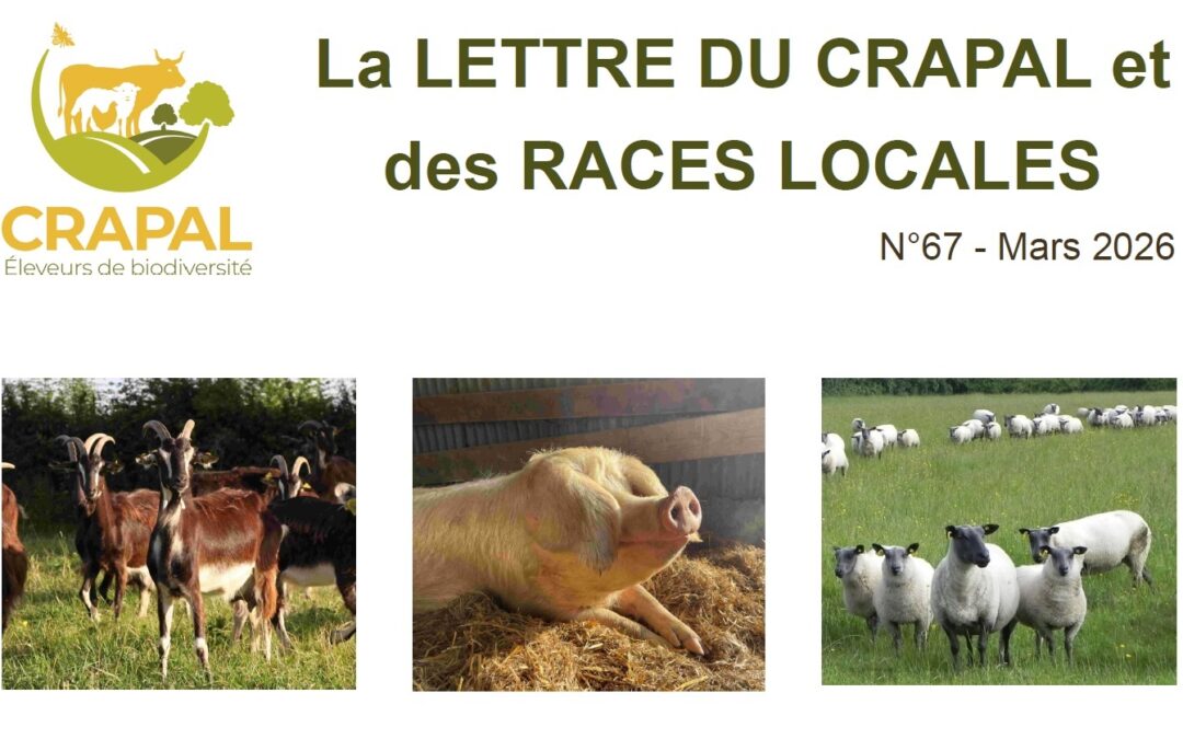 La lettre du CRAPAL n°67 – mars 2026