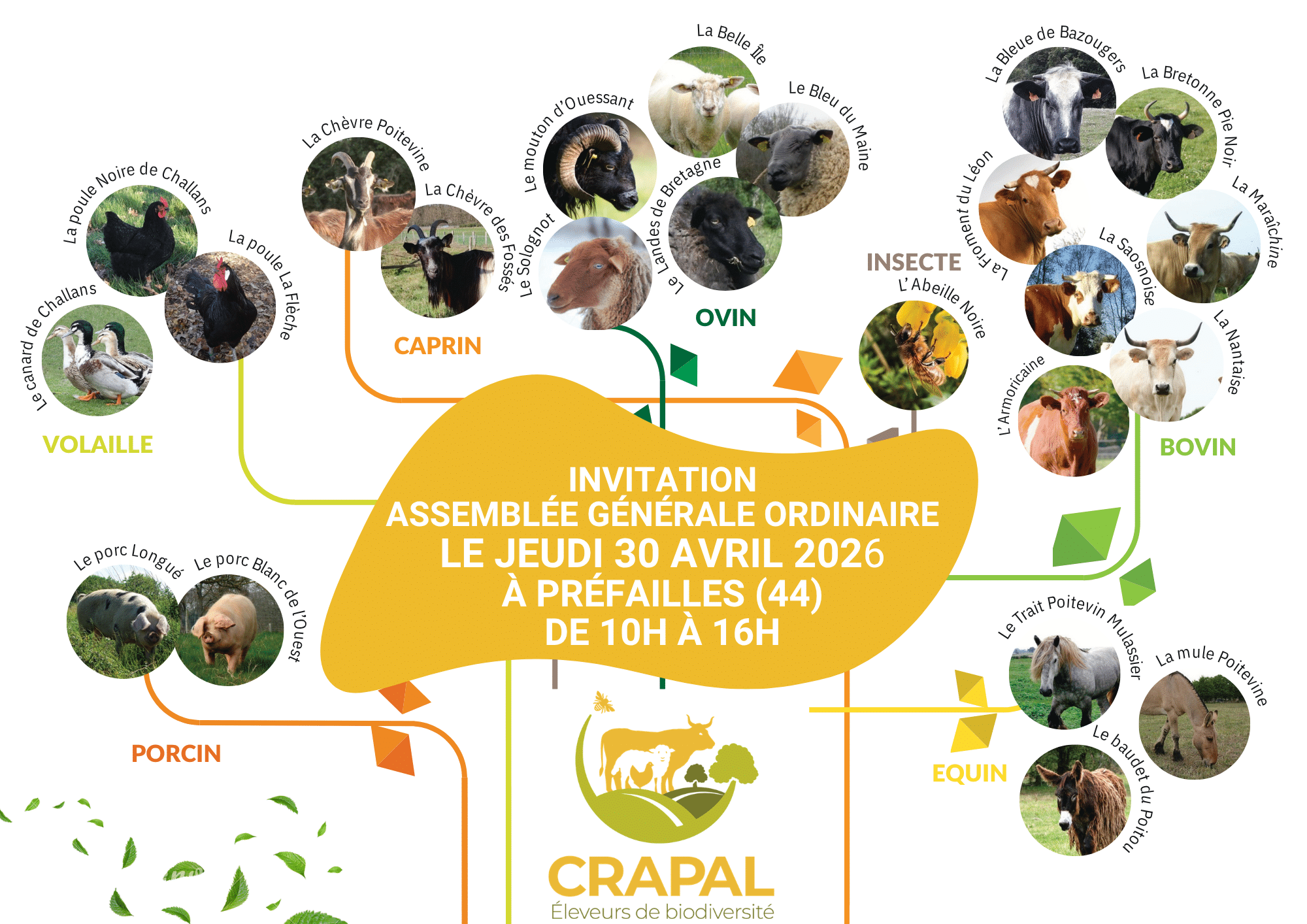 Invitation Assemblée Générale du CRAPAL 2026