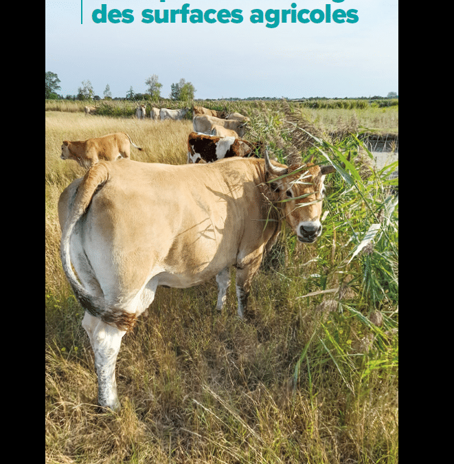Fascicule Des ressources végétales atypiques pour les bovins – Explorer les espaces “en marge” des surfaces agricoles
