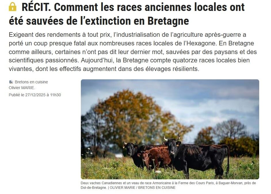 Revue de presse : sauvegarde des races bretonnes
