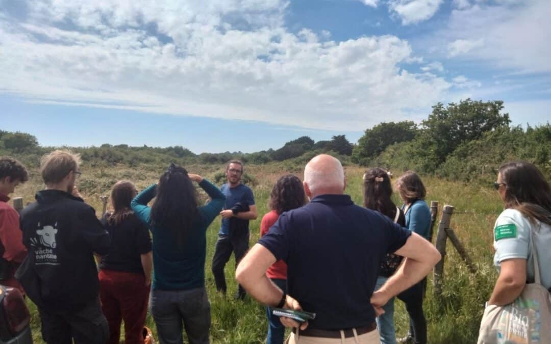 Un groupement pastoral dans le Pays de Retz pour entretenir le littoral