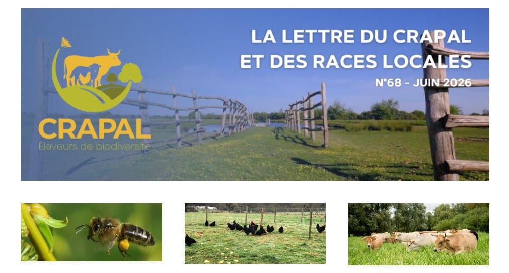 Bandeau la lettre du Crapal n°68