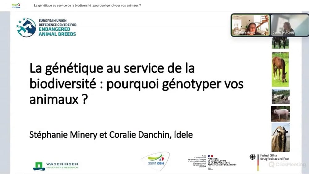 Webinaire – La génétique au service de la biodiversité : pourquoi génotyper vos animaux ?
