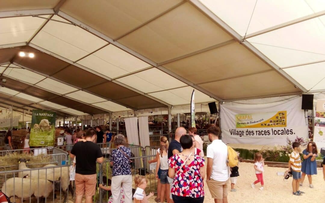 Les races et variétés locales au Festi’Elevage 2026
